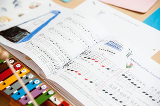 开云网页-中小学体育课安全教育现状与对策，中小学体育课安全教育现状与对策研究