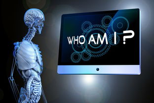 开云官网登录-青少年体育社交行为与心理健康关联研究，体育运动对青少年心理健康的影响