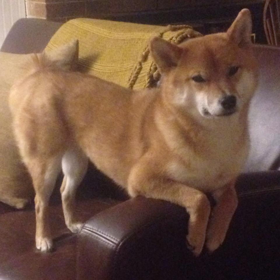 kaiyun开云·官方网站-亚洲杯中国足球爆冷 球迷呼吁改革战术体系，亚洲杯足球赛中国队比赛