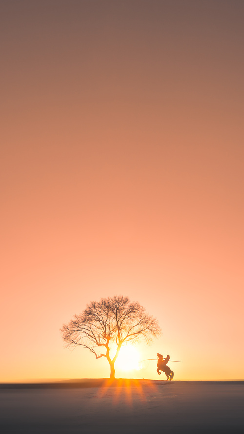 开yun官网-分段数据揭示冠军选手节奏奥秘