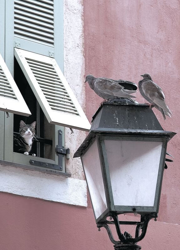 KAIYUN 中国大陆-切尔西锋线新援融入体系效果积极，切尔西锋线不给力