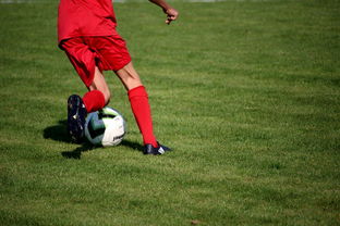 开云平台-基层足球赛事体系未形成闭环，足球联赛实施方案