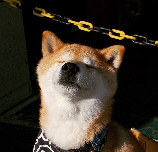 开云-湖畔竞技，2025赛事引爆全城