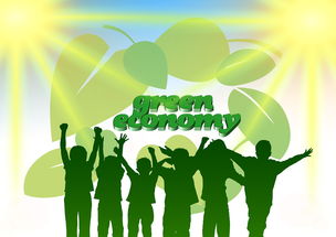 kaiyun官方入口登录-青年选手成长路径日益明确，青年成长成才计划