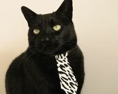 开云官网-克莱尔·柯尔赞赛后感谢团队支持，克莱尔资料