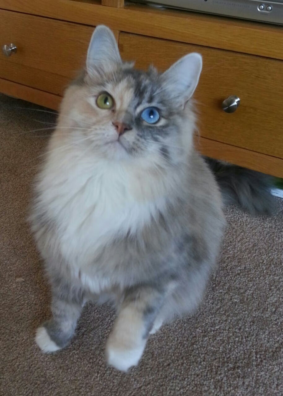 开云官方-图穆亚的全面表现使袋鼠队在比赛中占得先机,稳步取胜