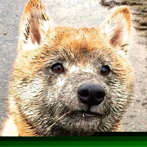 开云下载-恩多比·恩乔在关键时刻的精准踢球助力南非攻克防线,恩多罗是哪个国家的城市