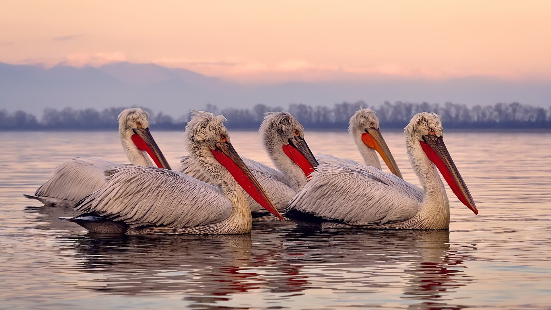 开云中国大陆-水球终场绝杀南非女将力挽狂澜，南非女子水球